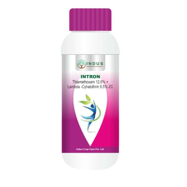 Thiamethoxam 12.6% + Lambda-Cyhalothrin 9.5% ZC (INTRON)