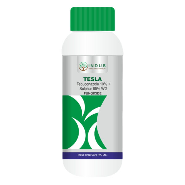 Tebuconazole 10% + Sulphur 65% WG