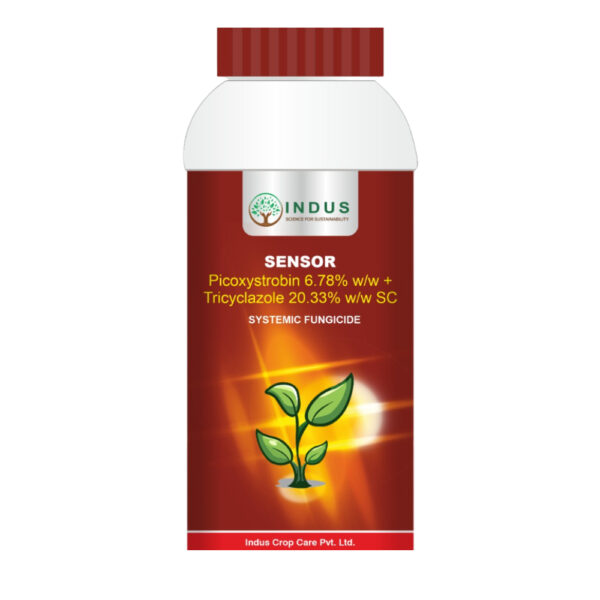 Picoxystrobin 6.78% + Tricyclazole 20.33% SC